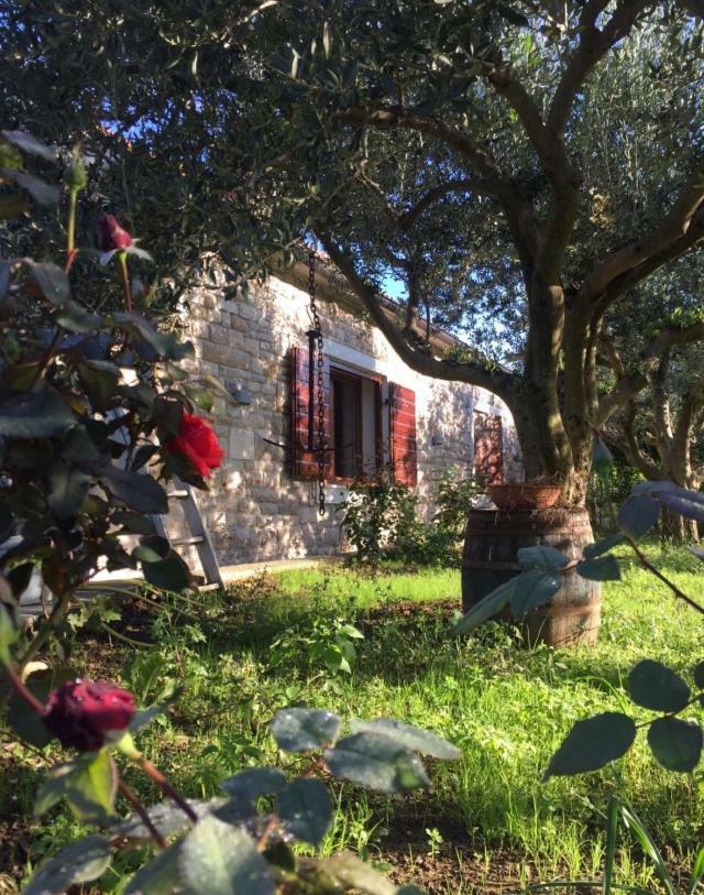 Casa Mala Villa Задар Екстериор снимка